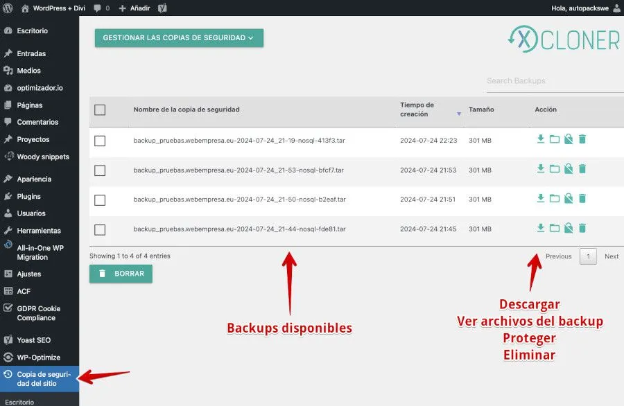 copias de seguridad en WordPress
